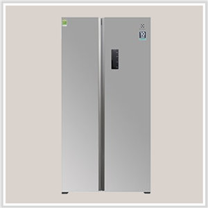 Tủ Lạnh Electrolux ESE5301AG-VN